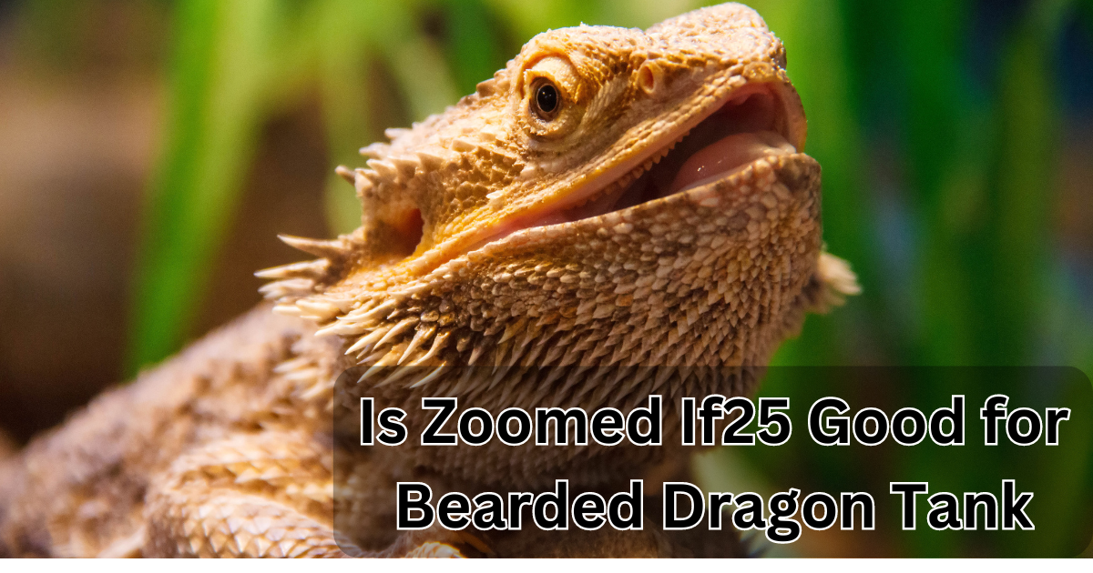 Is Zoomed If25 Good for Bearded Dragon Tank