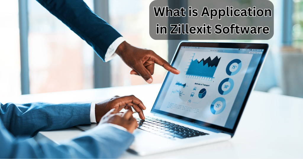 What is Application in Zillexit Software